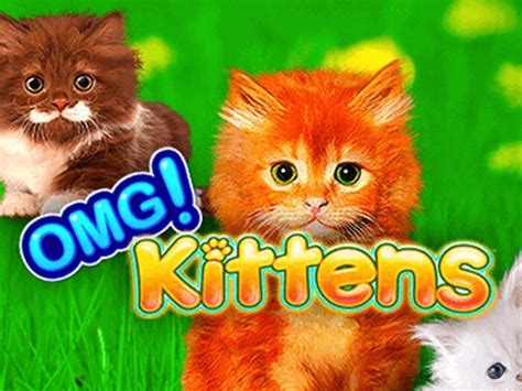 Omg Kittens Review 2024